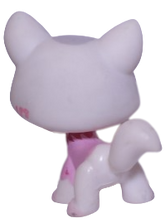 #1699 Destiny Cat